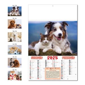 126-A1067955-70749c159522c94e8923103c27430468-191e2cc22ce