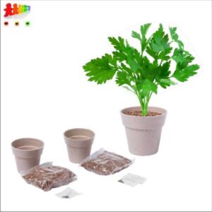 526-A1087964-70749c159522c94e8923103c27430468-15d6aeac8b0