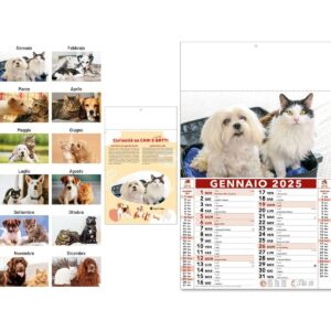 118-A1067948-70749c159522c94e8923103c27430468-191e2d6bad7