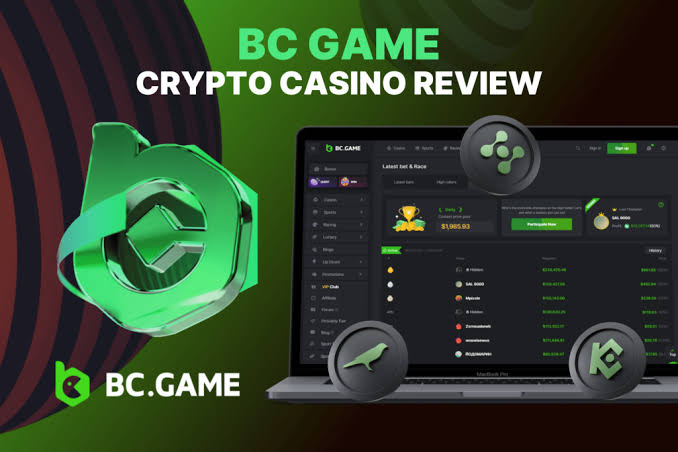 BC.Game Plinko Explained A Comprehensive Guide to the Game BC.Game Plinko Explained A Comprehensive Guide to the Game
